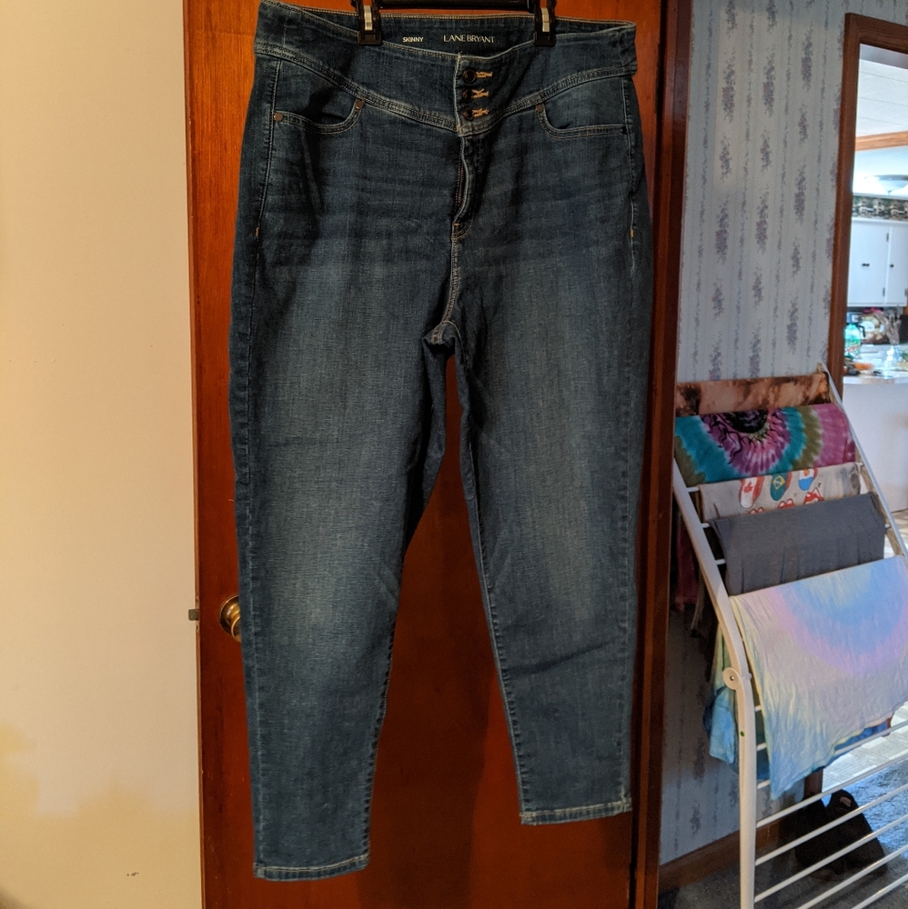 Lane Bryant skinny jeans